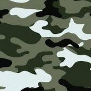 Meet your Posher, Bennett